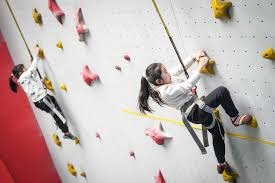 贺希宁在招笑这个赛道已经越走越远了，估计这会人设已经改不回去了